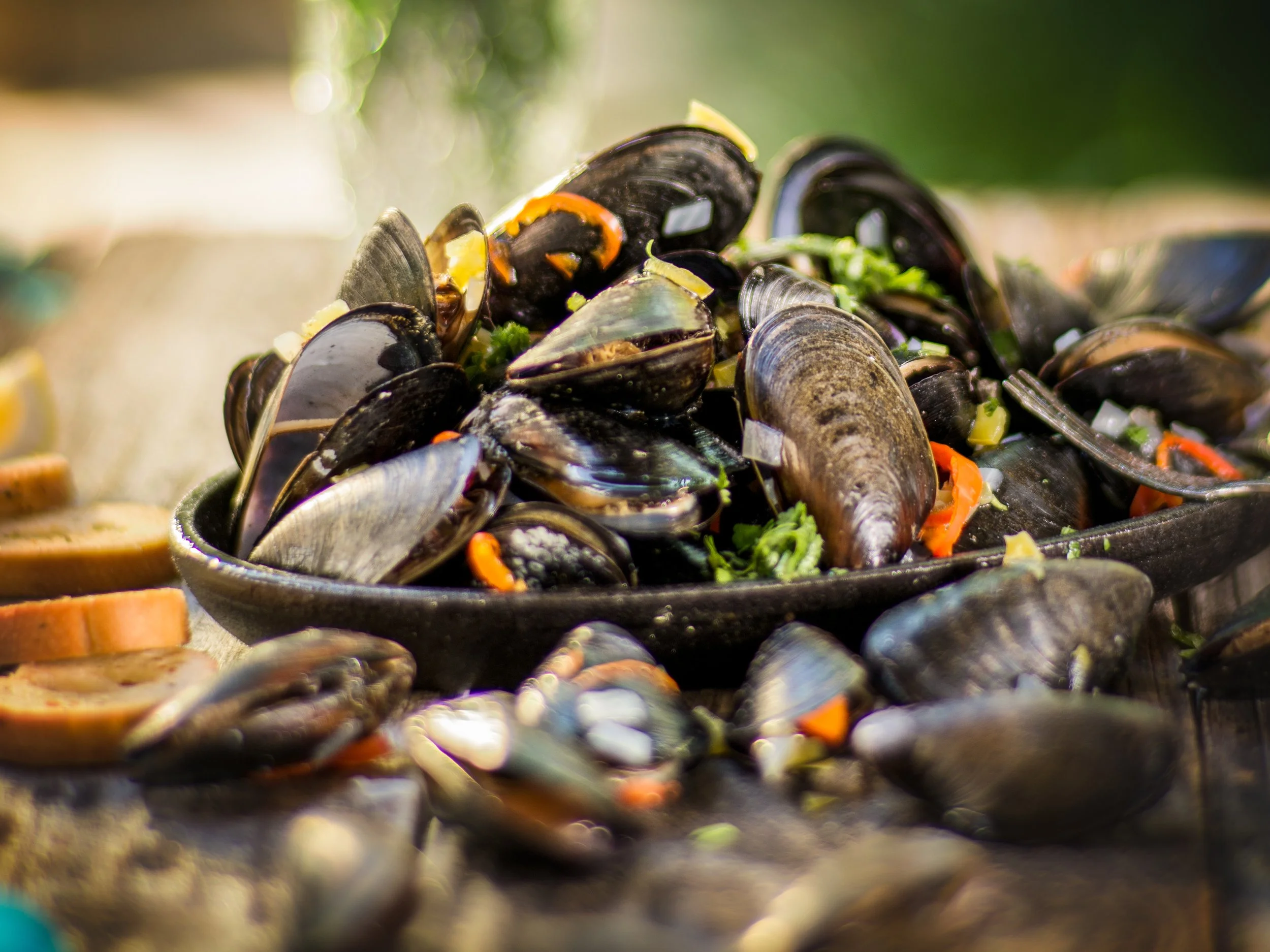 Bowl of steamed mussels with herbs