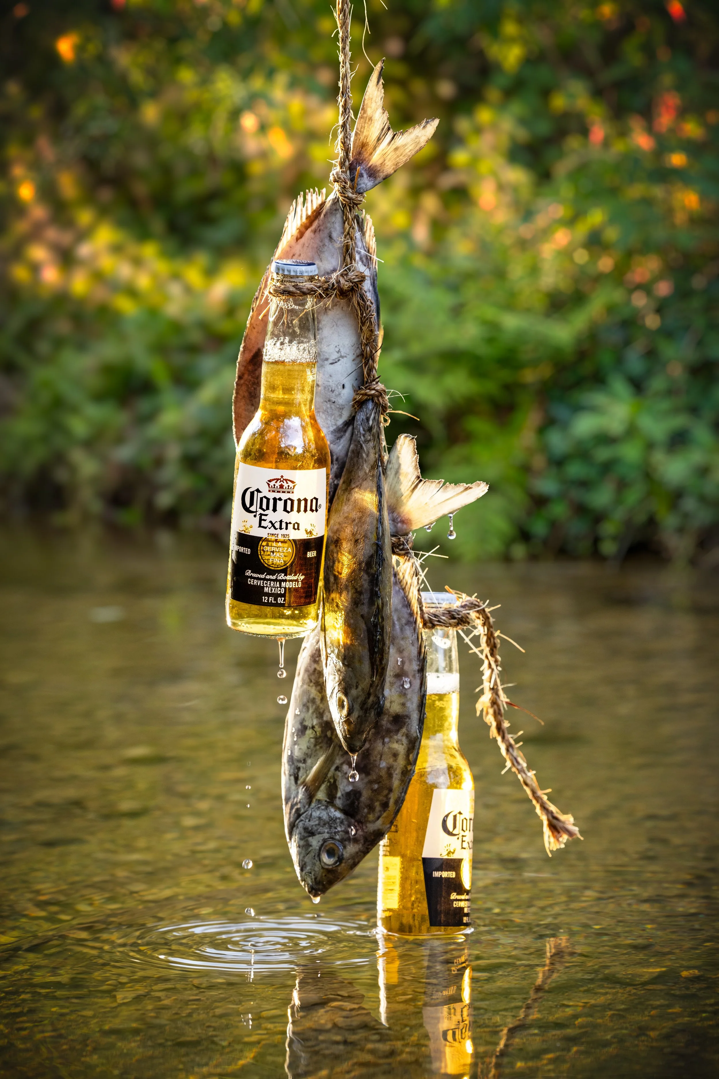 Corona Extra bottles hanging beside fish over a river